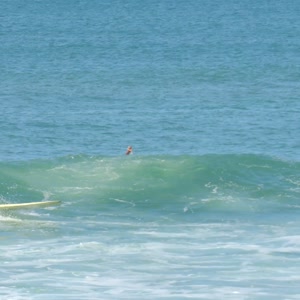 Video 124 - 8w Rua do Surf 2026-02-18