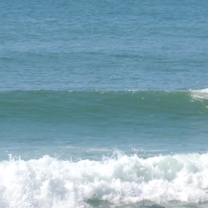 Video 129 - 8w Rua do Surf 2026-02-18