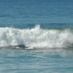 Video 120 - 8w Rua do Surf 2026-02-18