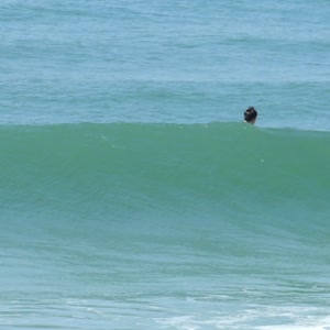 Video 132 - 8w Rua do Surf 2026-02-18