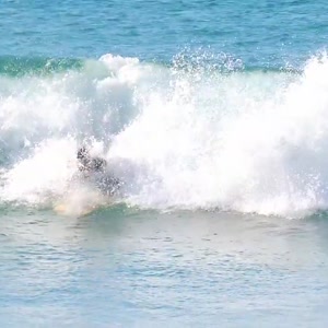 Video 28 - 8w Rua do Surf 2026-02-18