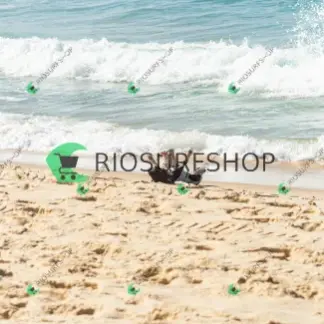 Foto 302 - BarraBela - P6 2026-02-20