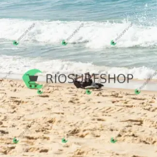 Foto 303 - BarraBela - P6 2026-02-20