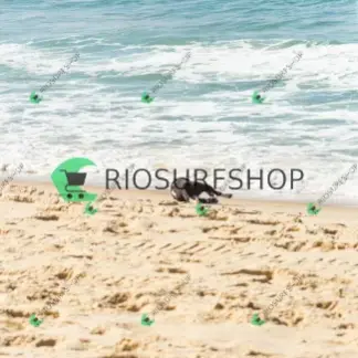 Foto 307 - BarraBela - P6 2026-02-20