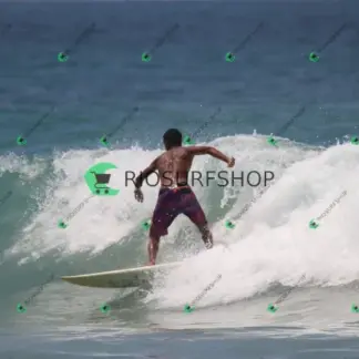 Foto 986 - CCB 2026-02-20