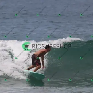 Foto 1033 - CCB 2026-02-21