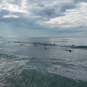 Video 17 - CCB 2026-02-21