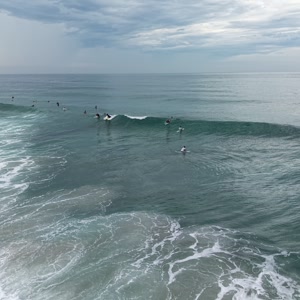 Video 14 - CCB 2026-02-21