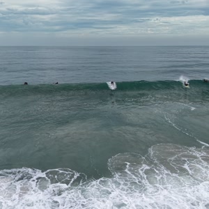 Video 22 - CCB 2026-02-21