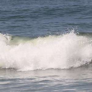 Video 1288 - CCB 2026-02-22