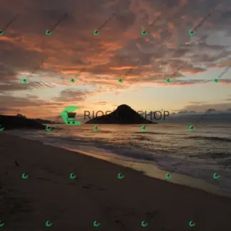 Foto 2 - 8w Rua do Surf 2026-02-22