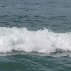 Video 35 - 8w Rua do Surf 2026-02-22