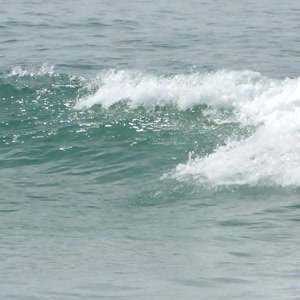 Video 127 - 8w Rua do Surf 2026-02-22