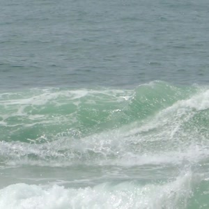 Video 50 - 8w Rua do Surf 2026-02-22