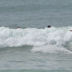 Video 52 - 8w Rua do Surf 2026-02-22