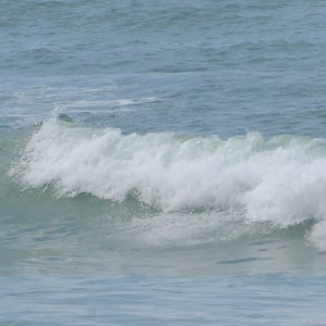 Video 44 - 8w Rua do Surf 2026-02-22