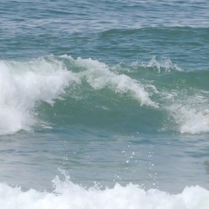 Video 58 - 8w Rua do Surf 2026-02-22