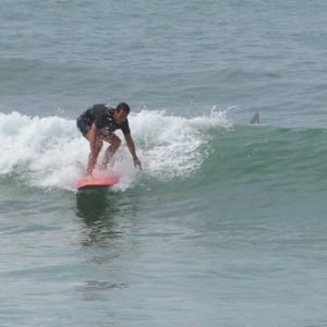 Video 71 - 8w Rua do Surf 2026-02-22