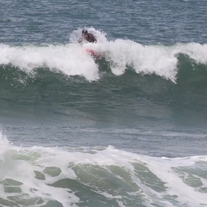 Video 845 - CCB 2026-02-23