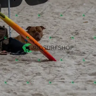 Foto 113 - Barra da Tijuca - P8 (Barra Summer) 2026-02-24