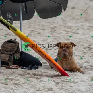 Foto 153 - Barra da Tijuca - P8 (Barra Summer) 2026-02-24