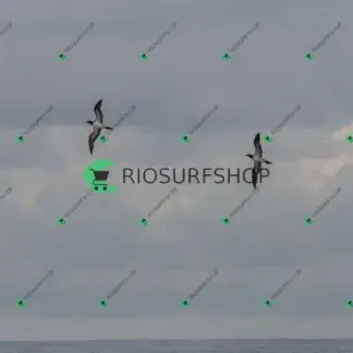 Foto 268 - Barra da Tijuca - P8 (Barra Summer) 2026-02-24