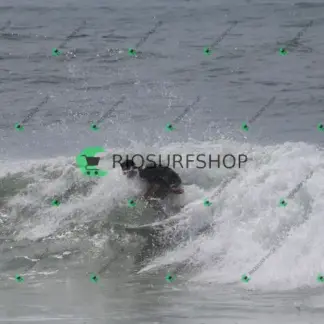 Foto 1223 - Canto do Recreio 2026-02-24