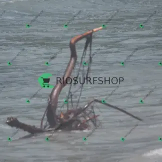 Foto 106 - Praia Brava - Angra 2026-02-25