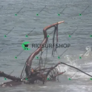 Foto 109 - Praia Brava - Angra 2026-02-25