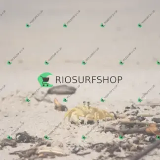 Foto 113 - Praia Brava - Angra 2026-02-25