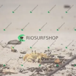 Foto 116 - Praia Brava - Angra 2026-02-25