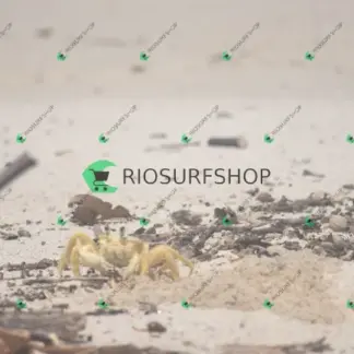 Foto 119 - Praia Brava - Angra 2026-02-25