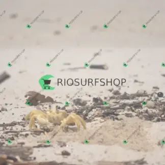 Foto 110 - Praia Brava - Angra 2026-02-25