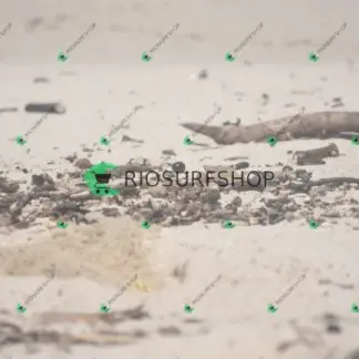 Foto 114 - Praia Brava - Angra 2026-02-25