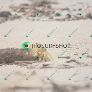 Foto 142 - Praia Brava - Angra 2026-02-25