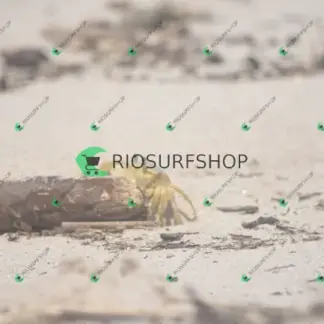 Foto 145 - Praia Brava - Angra 2026-02-25