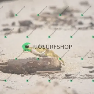 Foto 148 - Praia Brava - Angra 2026-02-25