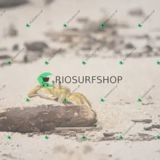 Foto 151 - Praia Brava - Angra 2026-02-25