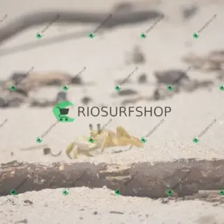 Foto 152 - Praia Brava - Angra 2026-02-25