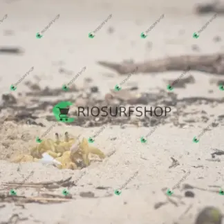 Foto 155 - Praia Brava - Angra 2026-02-25