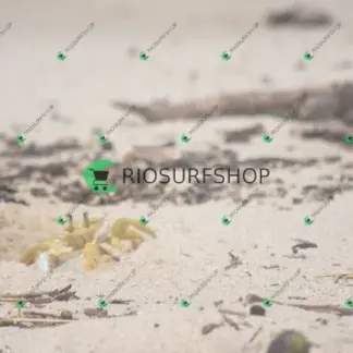 Foto 158 - Praia Brava - Angra 2026-02-25