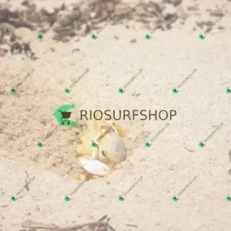 Foto 168 - Praia Brava - Angra 2026-02-25