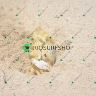 Foto 157 - Praia Brava - Angra 2026-02-25