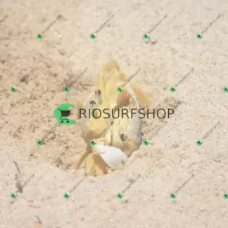 Foto 167 - Praia Brava - Angra 2026-02-25