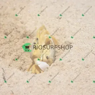 Foto 170 - Praia Brava - Angra 2026-02-25