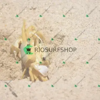 Foto 174 - Praia Brava - Angra 2026-02-25