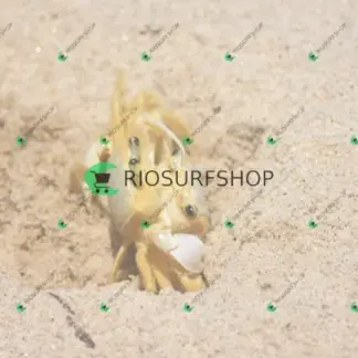 Foto 180 - Praia Brava - Angra 2026-02-25