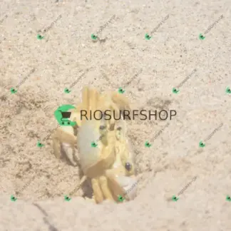 Foto 171 - Praia Brava - Angra 2026-02-25