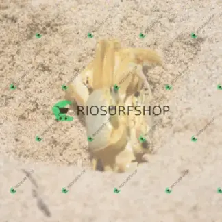 Foto 179 - Praia Brava - Angra 2026-02-25