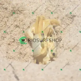 Foto 182 - Praia Brava - Angra 2026-02-25